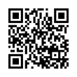 QR Code (код быстрого отклика)