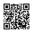 QR Code (код быстрого отклика)