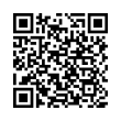 QR Code (код быстрого отклика)