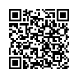 QR Code (код быстрого отклика)