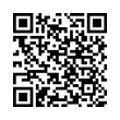 QR Code (код быстрого отклика)