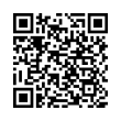 QR Code (код быстрого отклика)