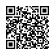 QR Code (код быстрого отклика)