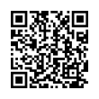 QR Code (код быстрого отклика)