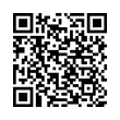 QR Code (код быстрого отклика)