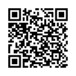 QR Code (код быстрого отклика)