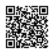 QR Code (код быстрого отклика)