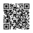 QR Code (код быстрого отклика)