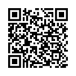 QR Code (код быстрого отклика)