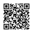 QR Code (код быстрого отклика)