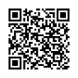 QR Code (код быстрого отклика)