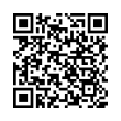 QR Code (код быстрого отклика)