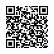 QR Code (код быстрого отклика)