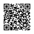 QR Code (код быстрого отклика)