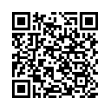 QR Code (код быстрого отклика)