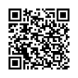 QR Code (код быстрого отклика)