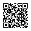 QR Code (код быстрого отклика)