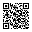 QR Code (код быстрого отклика)