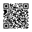 QR Code (код быстрого отклика)