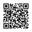 QR Code (код быстрого отклика)