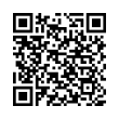 QR Code (код быстрого отклика)