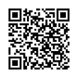 QR Code (код быстрого отклика)