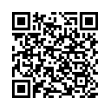 QR Code (код быстрого отклика)