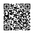 QR Code (код быстрого отклика)