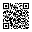 QR Code (код быстрого отклика)