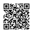 QR Code (код быстрого отклика)