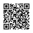 QR Code (код быстрого отклика)