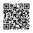 QR Code (код быстрого отклика)