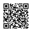 QR Code (код быстрого отклика)