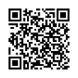 QR Code (код быстрого отклика)