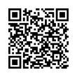 QR Code (код быстрого отклика)