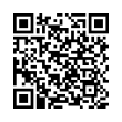 QR Code (код быстрого отклика)