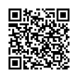 QR Code (код быстрого отклика)