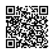 QR Code (код быстрого отклика)