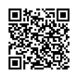 QR Code (код быстрого отклика)