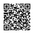 QR Code (код быстрого отклика)