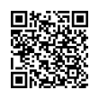 QR Code (код быстрого отклика)