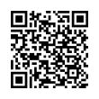 QR Code (код быстрого отклика)