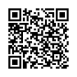 QR Code (код быстрого отклика)