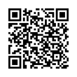 QR Code (код быстрого отклика)