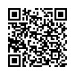 QR Code (код быстрого отклика)