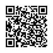 QR Code (код быстрого отклика)