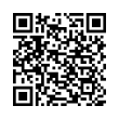 QR Code (код быстрого отклика)