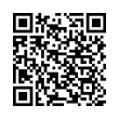 QR Code (код быстрого отклика)