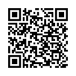 QR Code (код быстрого отклика)