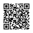 QR Code (код быстрого отклика)